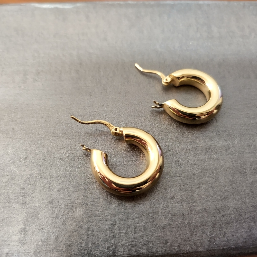Elegant Gold Hoop Earrings